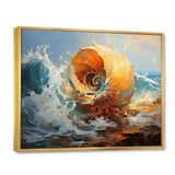 Nautilus Sheels Elegance - Nautilus Wall Decor