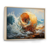 Nautilus Sheels Elegance - Nautilus Wall Decor