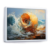 Nautilus Sheels Elegance - Nautilus Wall Decor