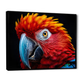 Red Parrot Colorful Parrot - Parrot Canvas Wall Art