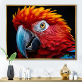 Red Parrot Colorful Parrot - Parrot Canvas Wall Art