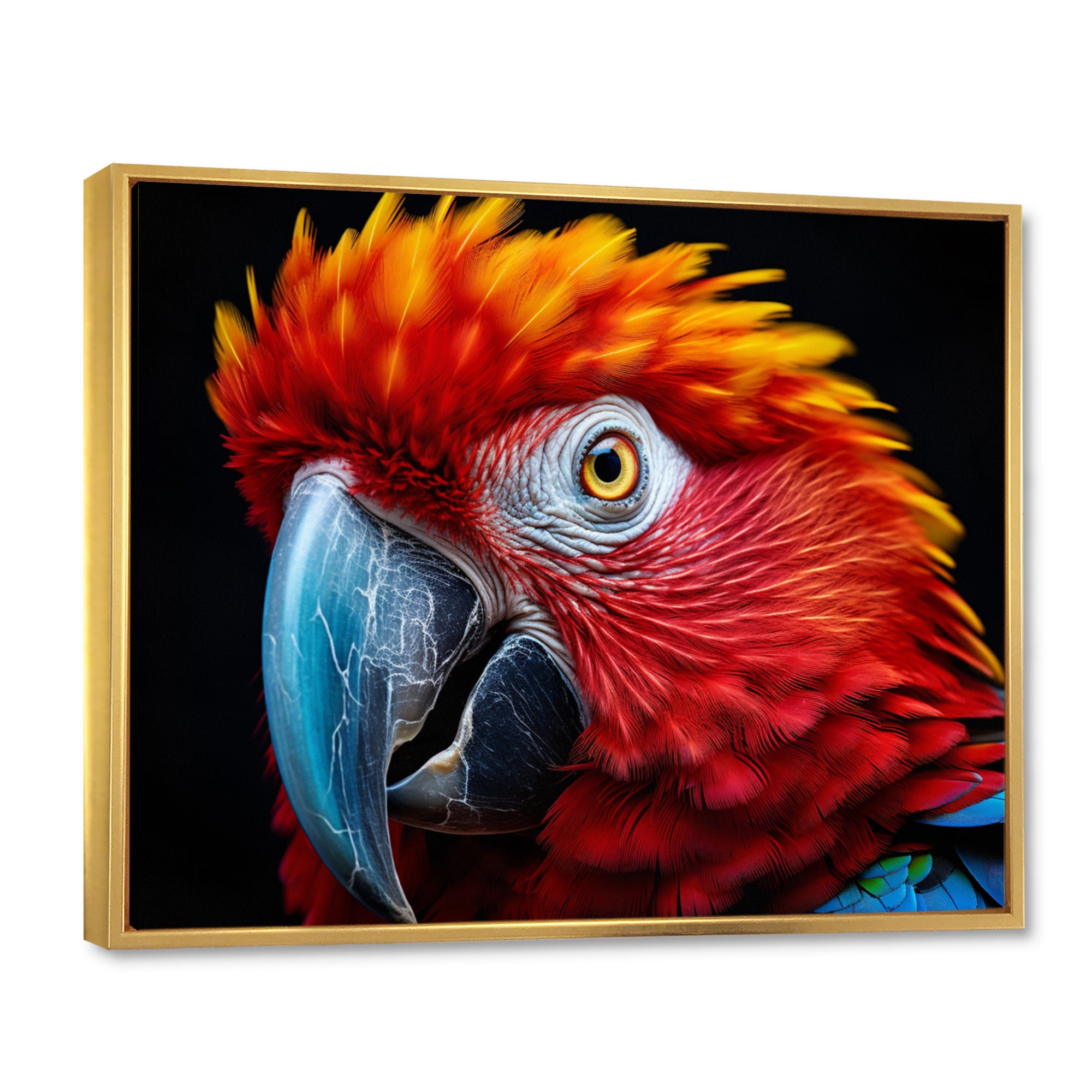 Red Parrot Colorful Parrot - Parrot Canvas Wall Art