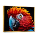 Red Parrot Colorful Parrot - Parrot Canvas Wall Art