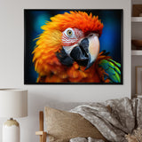 Yellow Red Parrot Colorful Parrot - Parrot Canvas Wall Art