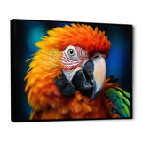 Yellow Red Parrot Colorful Parrot - Parrot Canvas Wall Art