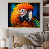 Yellow Red Parrot Colorful Parrot - Parrot Canvas Wall Art