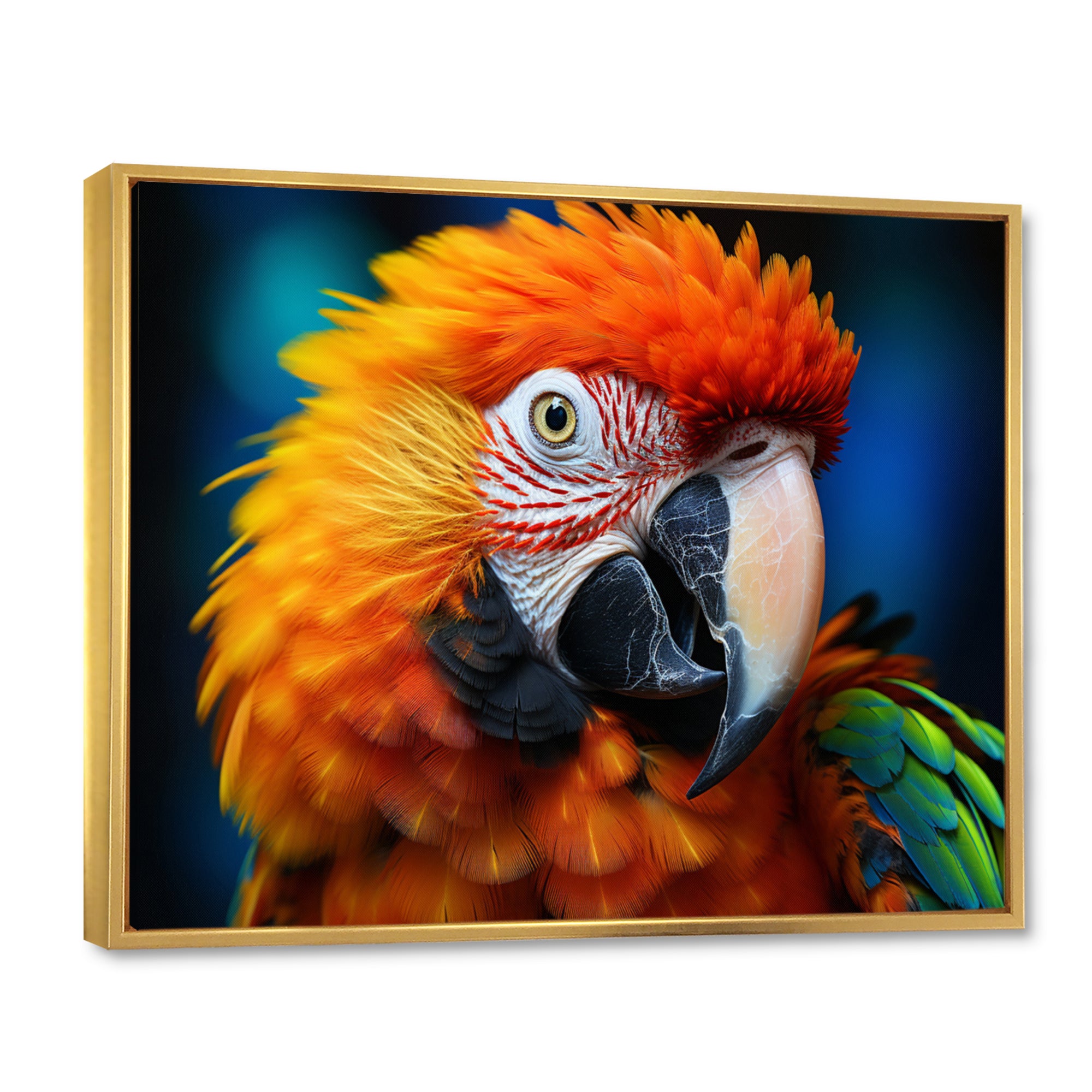 Yellow Red Parrot Colorful Parrot - Parrot Canvas Wall Art