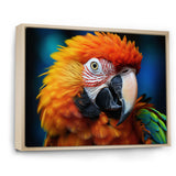 Yellow Red Parrot Colorful Parrot - Parrot Canvas Wall Art