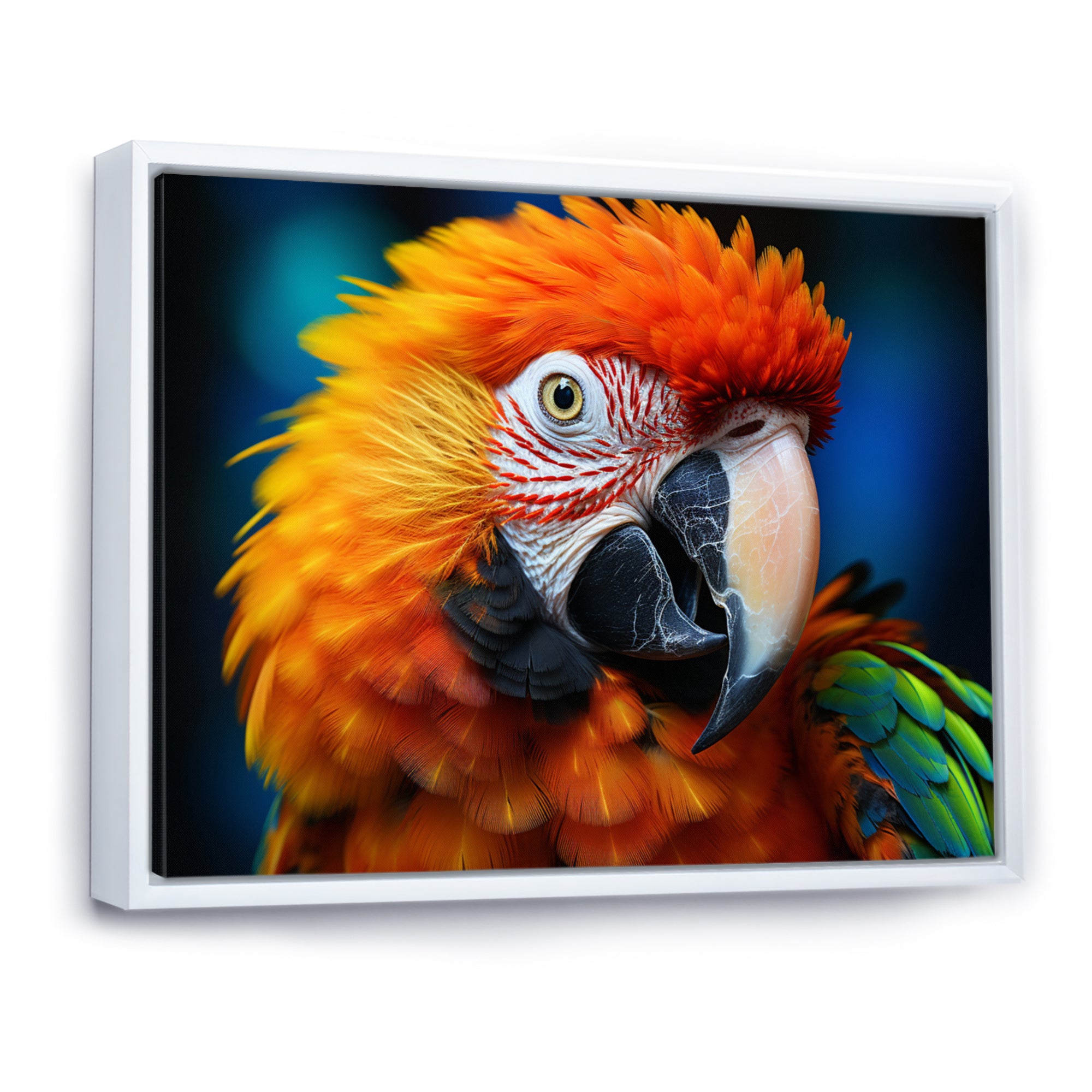 Yellow Red Parrot Colorful Parrot - Parrot Canvas Wall Art