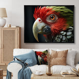 Red Parrot Portrait - Parrot Wall Art Prints