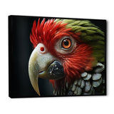 Red Parrot Portrait - Parrot Wall Art Prints