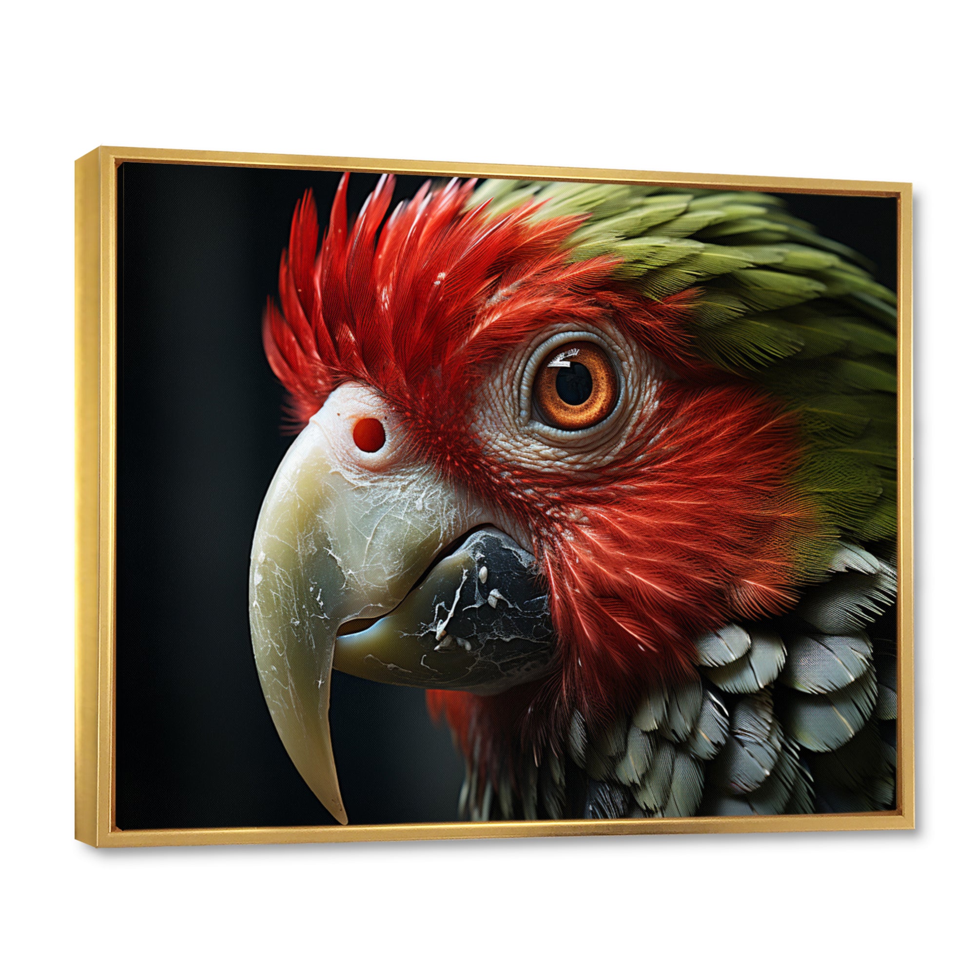 Red Parrot Portrait - Parrot Wall Art Prints