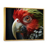 Red Parrot Portrait - Parrot Wall Art Prints