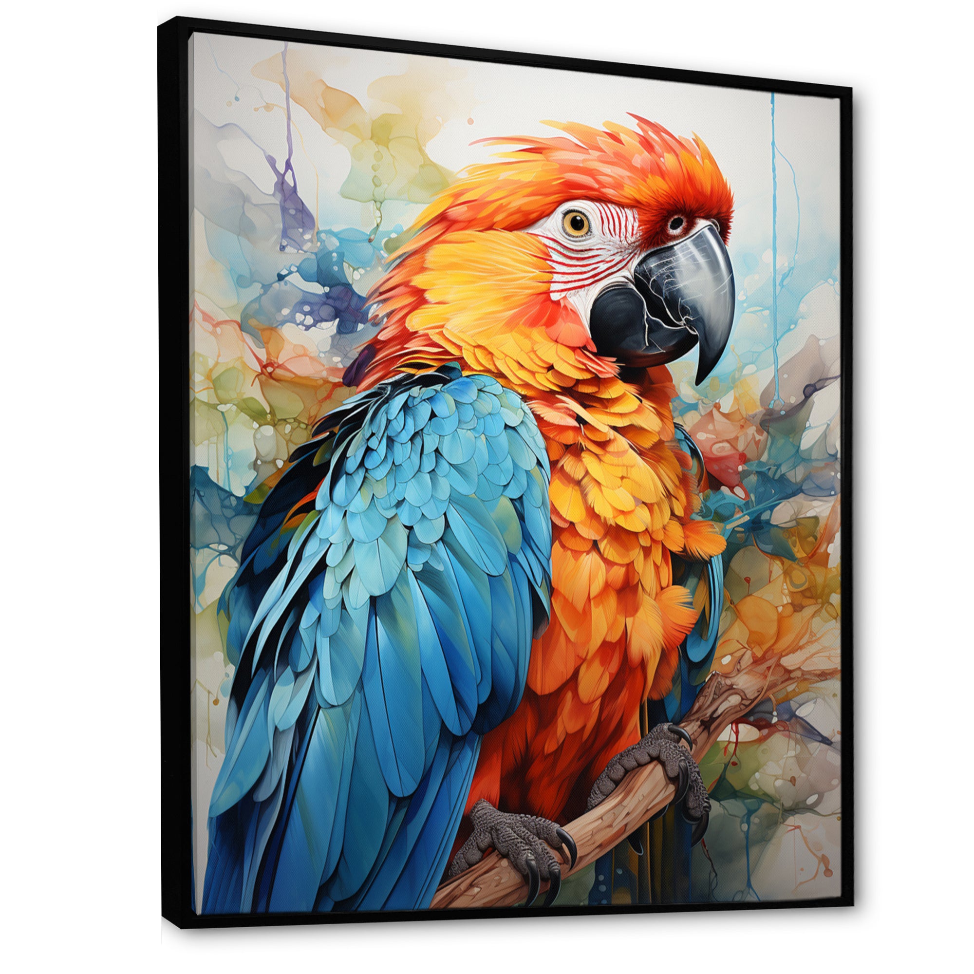 Orange Blue Parrot Vibrant Plumage - Orange Parrot Wall Art