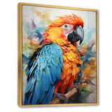 Orange Blue Parrot Vibrant Plumage - Orange Parrot Wall Art