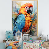 Orange Blue Parrot Vibrant Plumage - Orange Parrot Wall Art