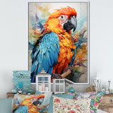 Orange Blue Parrot Vibrant Plumage - Orange Parrot Wall Art