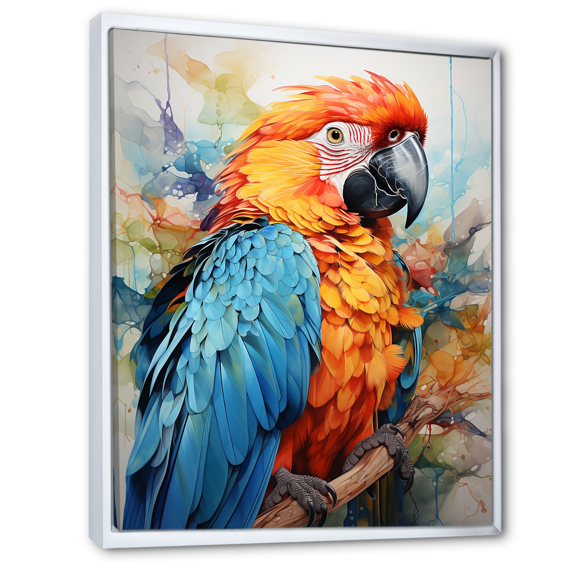 Orange Blue Parrot Vibrant Plumage - Orange Parrot Wall Art