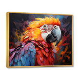 Orange Blue Parrot Vibrant Plumage Collage - Parrot Framed Canvas Art