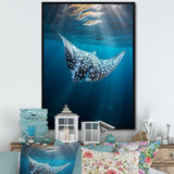Ray Graceful Glide Ocean - Ray Canvas Wall Art