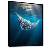 Ray Graceful Glide Ocean - Ray Canvas Wall Art