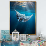 Ray Graceful Glide Ocean - Ray Canvas Wall Art