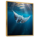 Ray Graceful Glide Ocean - Ray Canvas Wall Art