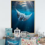 Ray Graceful Glide Ocean - Ray Canvas Wall Art