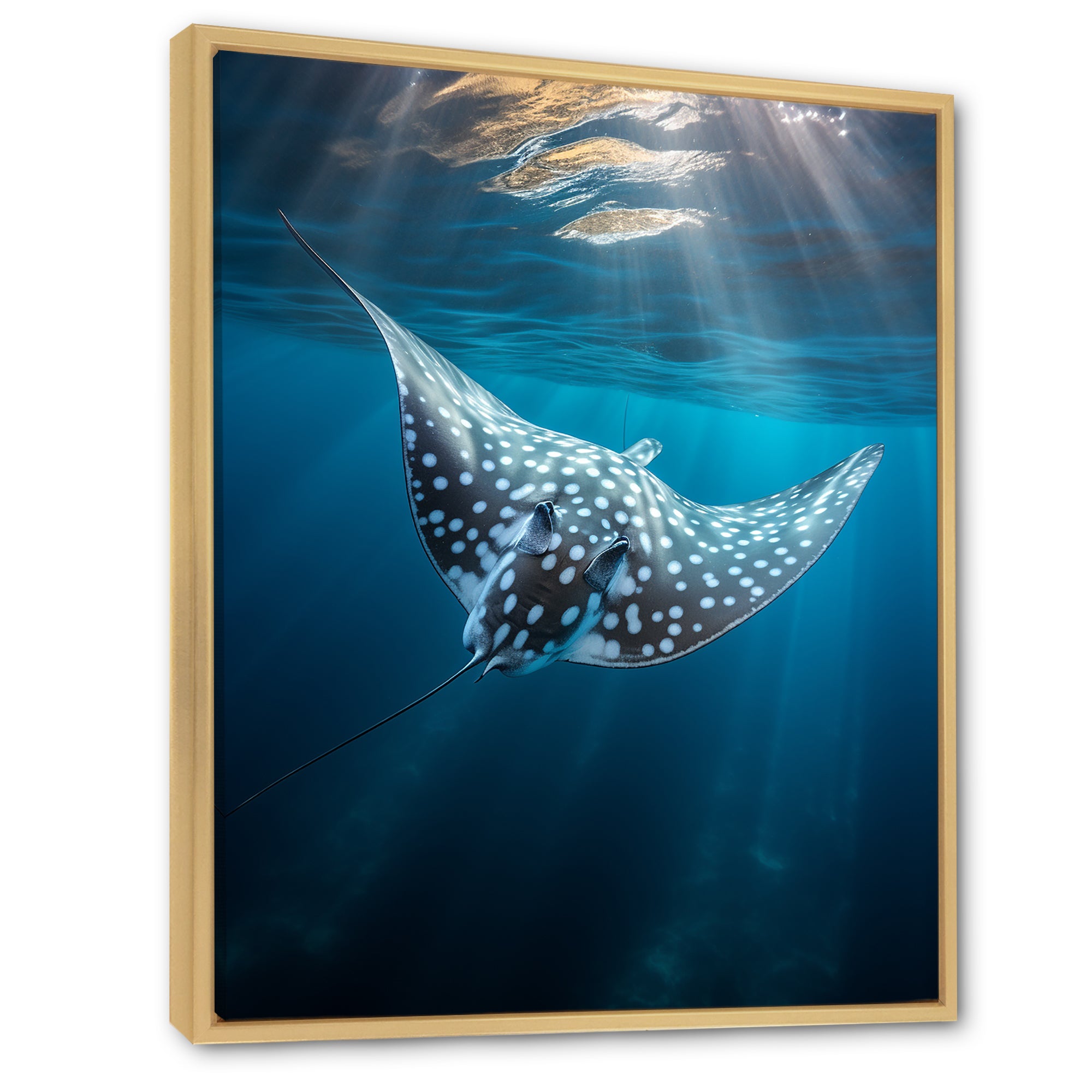 Ray Graceful Glide Ocean - Ray Canvas Wall Art