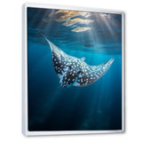 Ray Graceful Glide Ocean - Ray Canvas Wall Art