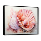 Peach Seashell Serenity - Seashell Large Canvas Wall Art