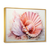 Peach Seashell Serenity - Seashell Large Canvas Wall Art