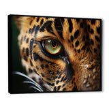 Leopard Eye Closeup Wildlife Encounters - Green Tiger Wall Art