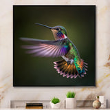 Purple Colibri Hovering Nature Photography - Bird Wall Decor