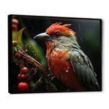 Orange Tropical Bird On Branch Nature Photography - Bird Wall Decor