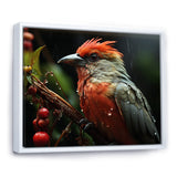 Orange Tropical Bird On Branch Nature Photography - Bird Wall Decor
