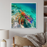 Red Lobster In Tropical Turquoise Water - Lobster Living Room Wall Art
