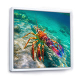 Red Lobster In Tropical Turquoise Water - Lobster Living Room Wall Art