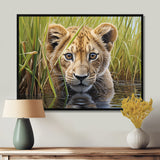 Endearing Lion Cub By The River - Lion Large Canvas Wall Art