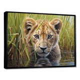 Endearing Lion Cub By The River - Lion Large Canvas Wall Art