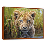 Endearing Lion Cub By The River - Lion Large Canvas Wall Art