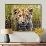 Endearing Lion Cub By The River - Lion Large Canvas Wall Art