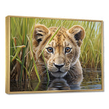 Endearing Lion Cub By The River - Lion Large Canvas Wall Art