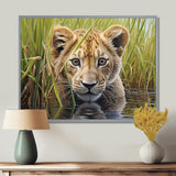 Endearing Lion Cub By The River - Lion Large Canvas Wall Art