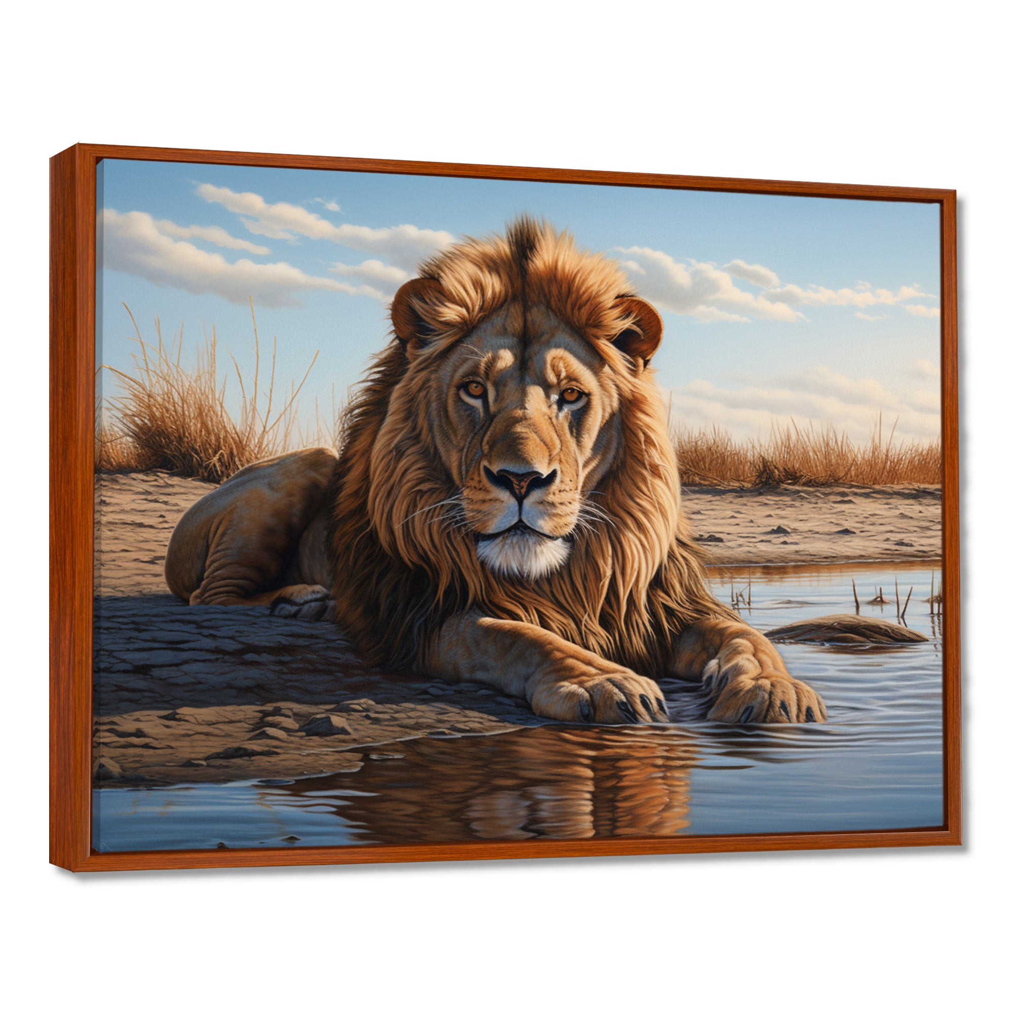 Lion Resting By The Water Pool - Lion Wall Art Prints