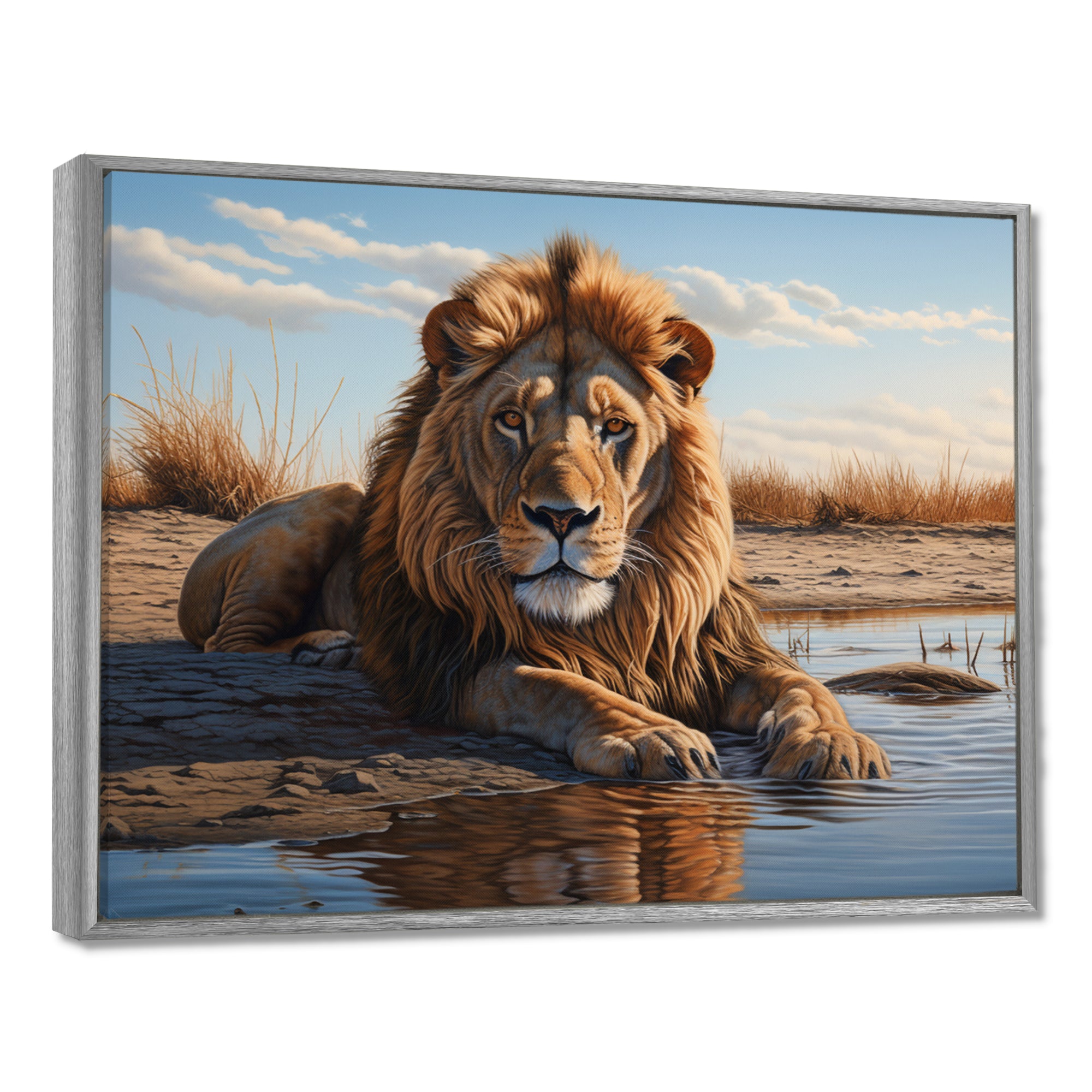 Lion Resting By The Water Pool - Lion Wall Art Prints