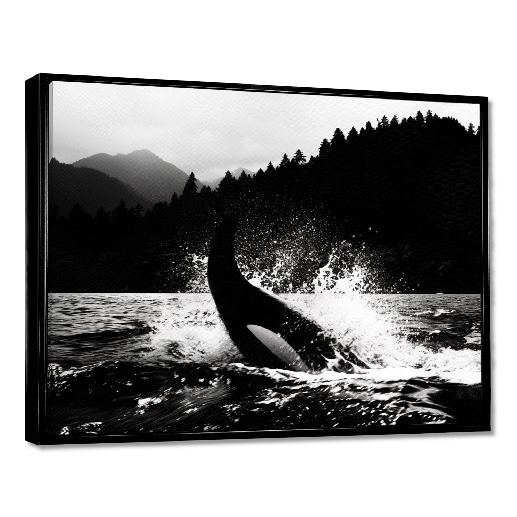 Orca Splashing In The Water Monochrome - Coastal Animal Framed Canvas Art
