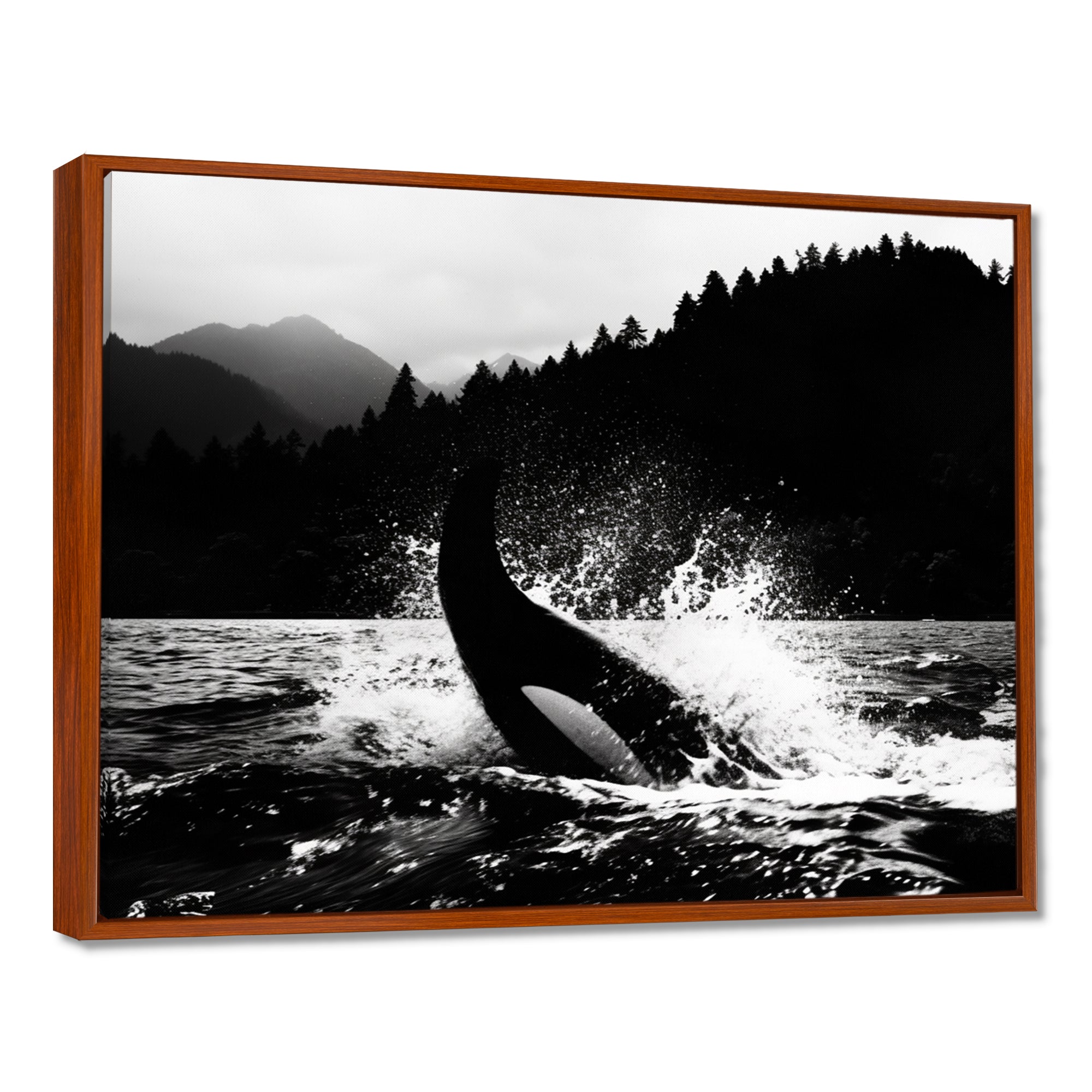 Orca Splashing In The Water Monochrome - Coastal Animal Framed Canvas Art