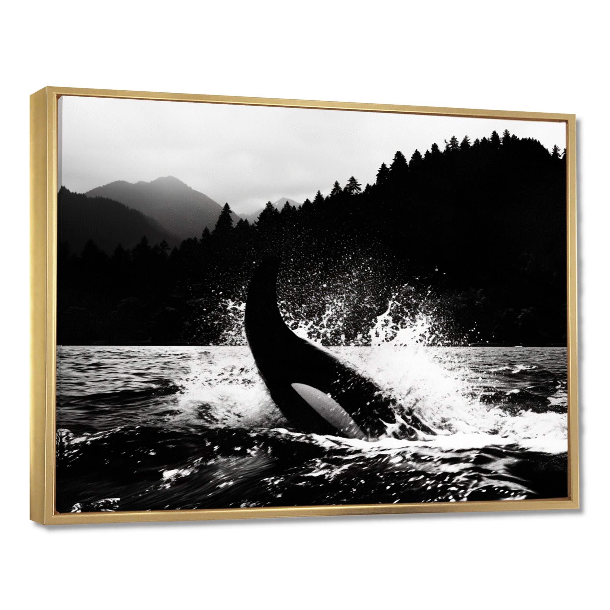 Orca Splashing In The Water Monochrome - Coastal Animal Framed Canvas Art