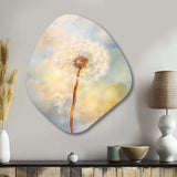 White Dandelion Romantic Impression III - Asymmetric Metal Wall Art